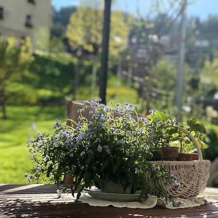Dolomites Charme Chalet Колле-Санта-Лучія Екстер'єр фото