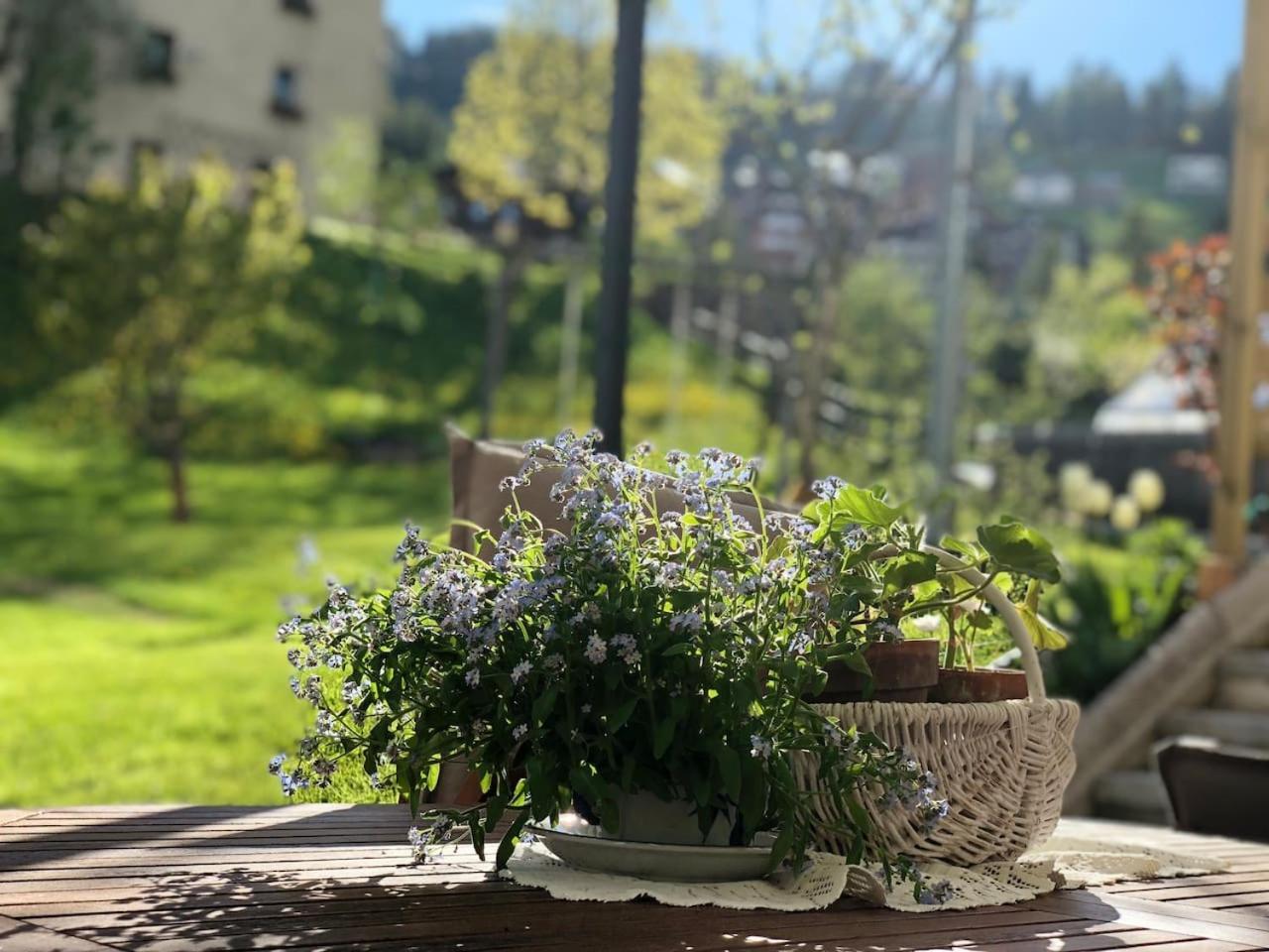Dolomites Charme Chalet Колле-Санта-Лучія Екстер'єр фото